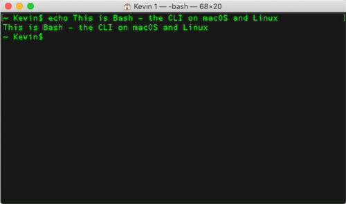 Screenshot from a Bash Terminal Session