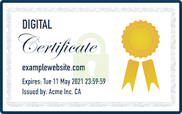 Physical Representation of a Digital Certificate