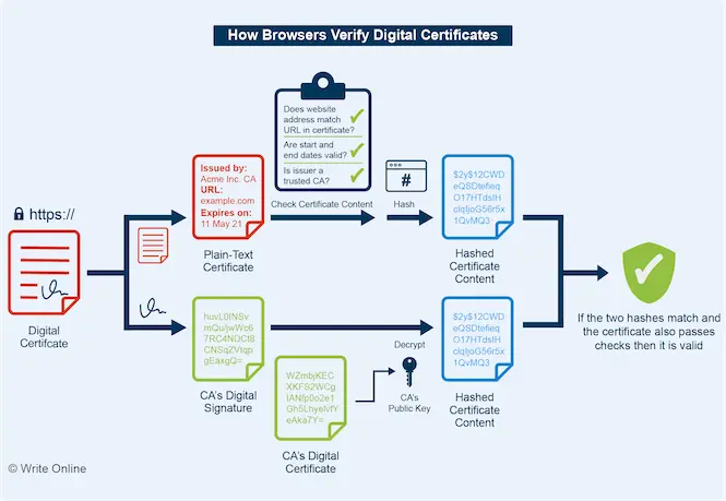 Diagram Showing How Browsers Verify Digital Certificates