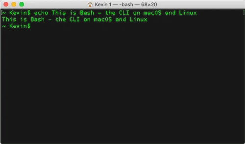 A Simple Echo Command That Instructs Linux to Display Some Text on Screen Screenshot from a Bash terminal session