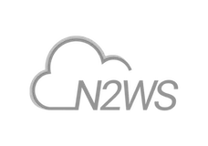 N2WS logo