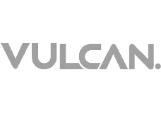 Vulcan Cyber logo